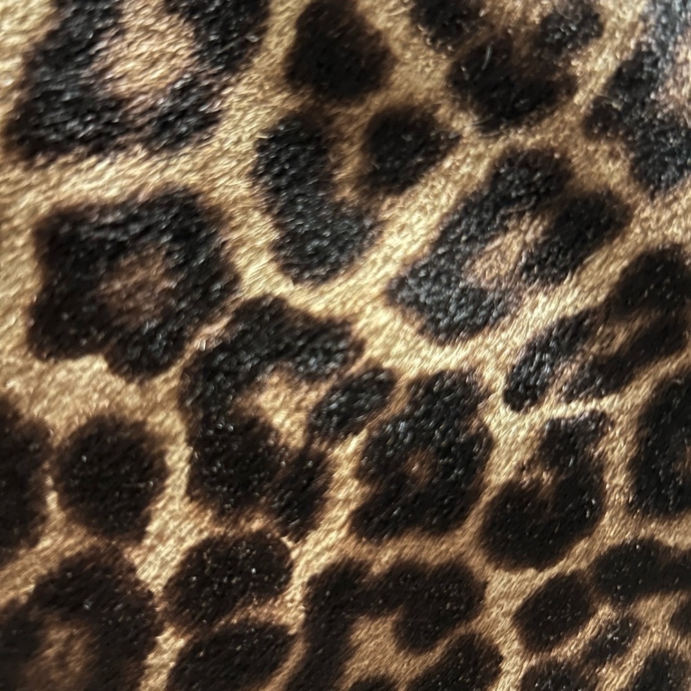 MichaelKors Leopard Print Crossbody Bag - Picture 3 of 9